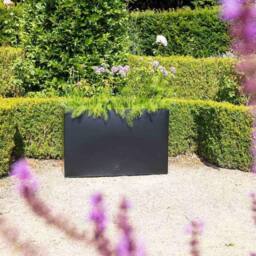 Primrose Tall Zinc Galvanised Trough Planter with Plastic Insert 95cm in Black - thumbnail 3