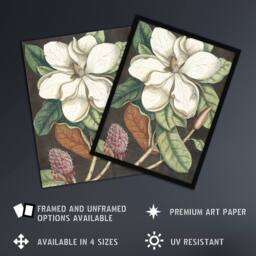 Artery8 Altissima Flower Laurel Tree Magnolia Catesby Framed Wall Art Print - Size: A4 - thumbnail 2