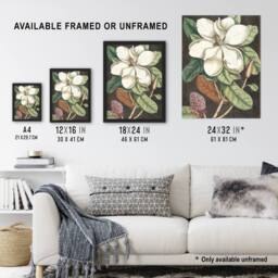 Artery8 Altissima Flower Laurel Tree Magnolia Catesby Framed Wall Art Print - Size: A4 - thumbnail 3