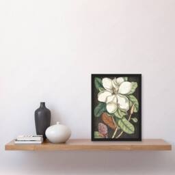 Artery8 Altissima Flower Laurel Tree Magnolia Catesby Framed Wall Art Print - Size: A4 - thumbnail 4