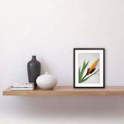 "Artery8 Wall Art Print Bird of Paradise Tropical Plant Flower & Leaves on White Artwork Framed 9X7 Inch in Black - Size: W7"" x H9""" - thumbnail 2