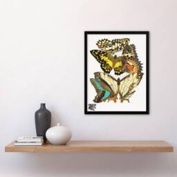 Artery8 Eugene Seguy Framed Wall Art Print Papillons Butterflies Illustration - Size: A4 - thumbnail 2