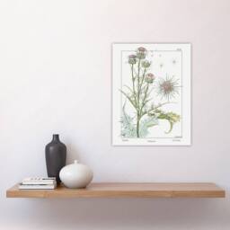 "Artery8 Thistle Flower Plant Vintage Floral Wall Art Print Verneuil in White - Size: W18"" x H24""" - thumbnail 4