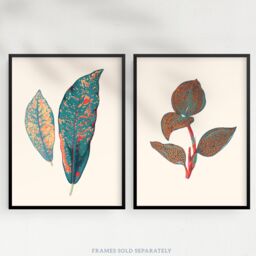 Wee Blue Coo Pack of 2 Vintage Botanical Fauna Coral Pink & Teal Blue Detailed Plant Leaves Unframed Wall Art Living Room Prints Set in Light Beige - thumbnail 5