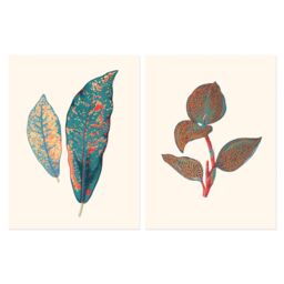 Wee Blue Coo Pack of 2 Vintage Botanical Fauna Coral Pink & Teal Blue Detailed Plant Leaves Unframed Wall Art Living Room Prints Set in Light Beige - thumbnail 1