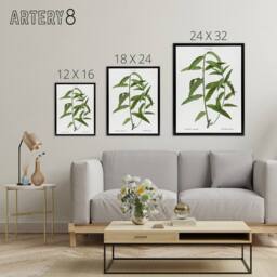 "Artery8 Basket Willow Botanical Redoute Vintage Black Framed Canvas Wall Art in White - Size: W24"" x H32""" - thumbnail 4