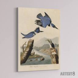 "Artery8 Audubon Birds Of America Belted Kingfisher Canvas Wall Art Print in Blue - Size: W18"" x H24""" - thumbnail 2