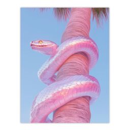 "Artery8 Shiny Chrome Pink Snake Wrapped On Palm Tree Bark Wall Art Print - Size: W12"" x H16""" - thumbnail 1