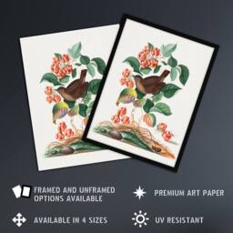 "Artery8 Eurasian Wren & Raspberry Plant Bolton Framed Wall Art Print - Size: W12"" x H16""" - thumbnail 2