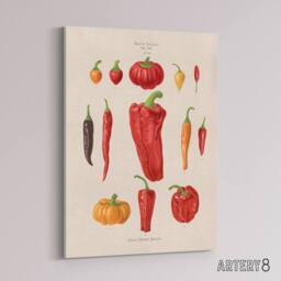 "Artery8 Capsicums & Chili Peppers Ernst Benary Canvas Wall Art Print in White - Size: W18"" x H24""" - thumbnail 2