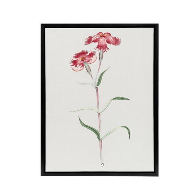 "Artery8 Nadeshiko Flower Framed Canvas Wall Art Print Vintage Japanese Botanical in Blue - Size: W12"" x H16""" - image 1