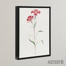 "Artery8 Nadeshiko Flower Framed Canvas Wall Art Print Vintage Japanese Botanical in Blue - Size: W12"" x H16""" - thumbnail 2