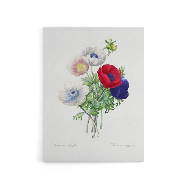 "Artery8 Anemone Flowers Botanical Redoute Vintage Canvas Wall Art in White - Size: W18"" x H24""" - image 1