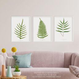 Wee Blue Coo Pack of 3 Botanical Aesthetic Single Fern Leaves Detailed Fern Frond Botany Book Vintage Unframed Wall Art Living Room Prints Set - thumbnail 2