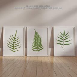 Wee Blue Coo Pack of 3 Botanical Aesthetic Single Fern Leaves Detailed Fern Frond Botany Book Vintage Unframed Wall Art Living Room Prints Set - thumbnail 6