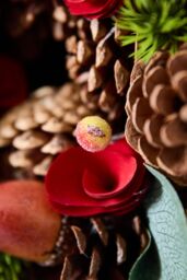 Dibor Traditional Woodland Treasures Front Door Autumn Winter Wreath 26cm in Brown - thumbnail 4
