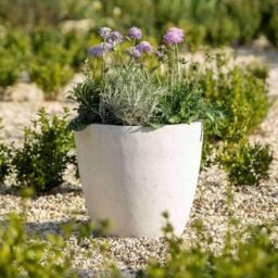 Primrose White Handmade Egg Shape Fiberstone Indoor Outdoor Planter 36cm