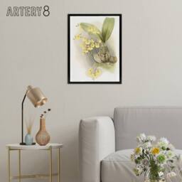 "Artery8 Frederick Sander Turtle Shell Orchid Flowers Framed Canvas Art Print - Size: W24"" x H32""" - thumbnail 3
