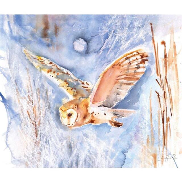 Jennifer Rose Barn Owl Winter Sky Canvas Print in Mid Blue - image 1