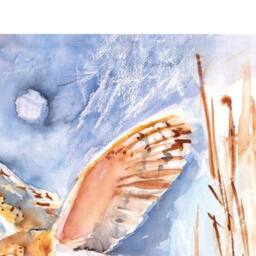 Jennifer Rose Barn Owl Winter Sky Canvas Print in Mid Blue - thumbnail 2