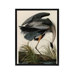 "Artery8 Audubon Birds Great Heron Painting Framed Canvas Wall Art Print - Size: W12"" x H16""" - thumbnail 1