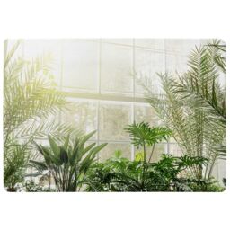 Benjamin Tate Design Green Plants In Botanical Gardens Designer Rug in Natural - Size: Large - thumbnail 1