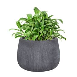 Dibor Small Grey Symmetry Stripe Fibre Clay Indoor Outdoor Garden Planter Houseplant Flower Plant Pot H20 x Dia29cm - thumbnail 2