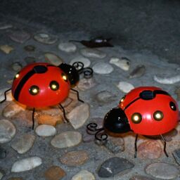Leaper Pack of 4 Outdoor Solar Ladybug Decorative Garden Lights in Yellow - thumbnail 2