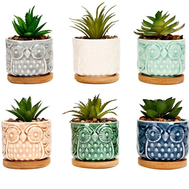 simpa 6PC Colour Glazed Owl Ceramic Plant Pots with Bamboo Base - image 1