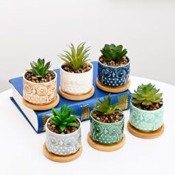 simpa 6PC Colour Glazed Owl Ceramic Plant Pots with Bamboo Base - thumbnail 4