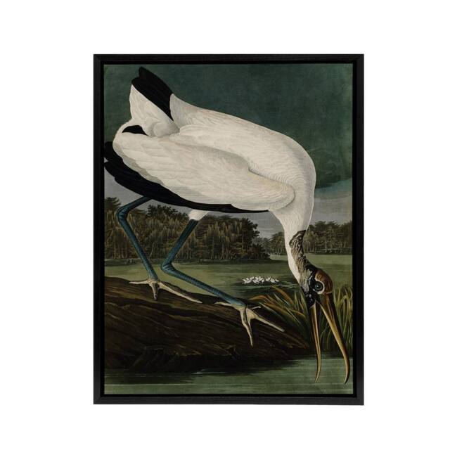 "Artery8 Audubon Birds Wood Ibis Painting Framed Canvas Wall Art Print - Size: W12"" x H16""" - image 1