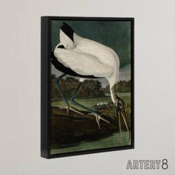 "Artery8 Audubon Birds Wood Ibis Painting Framed Canvas Wall Art Print - Size: W12"" x H16""" - thumbnail 2