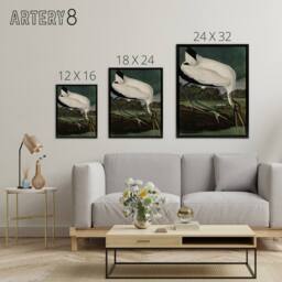 "Artery8 Audubon Birds Wood Ibis Painting Framed Canvas Wall Art Print - Size: W12"" x H16""" - thumbnail 4