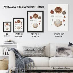"Artery8 Clam shell varieties Augustus Gould Wall Art Poster Print in White - Size: W12"" x H16""" - thumbnail 3