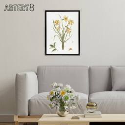"Artery8 Five Daffodils Vintage Illustration Teyler Black Framed Canvas Art in White - Size: W12"" x H16""" - thumbnail 3