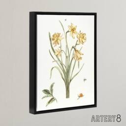 "Artery8 Five Daffodils Vintage Illustration Teyler Black Framed Canvas Art in White - Size: W12"" x H16""" - thumbnail 2