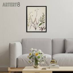 "Artery8 New Zealand Drosera Arcturi Plant Flowers Featon Framed Canvas Art in Beige - Size: W12"" x H16""" - thumbnail 3
