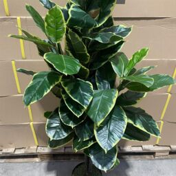 Leaf Artificial Rubber Plant Tree Deluxe Faux Design 120cm in Green - thumbnail 3