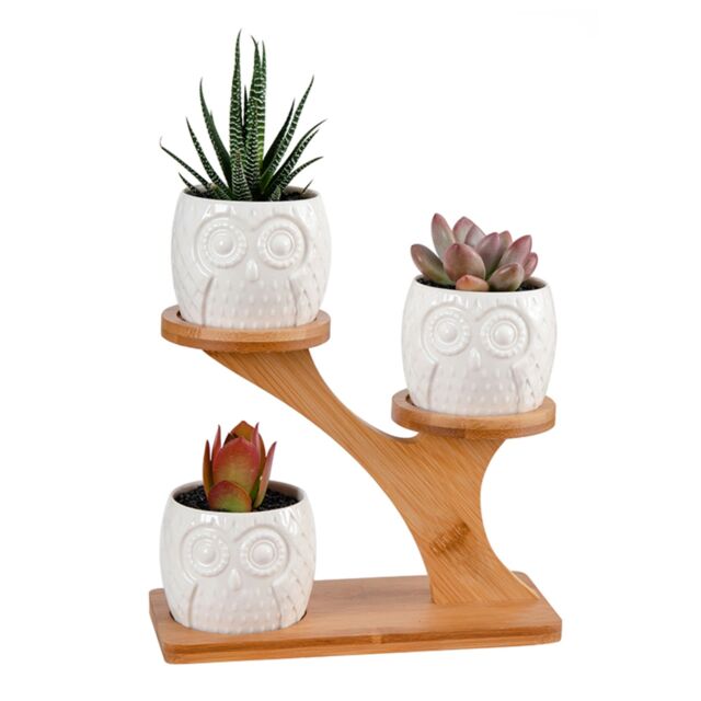 simpa 3PC White Owls Ceramic Plant Pots on Perch Stand - image 1