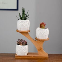 simpa 3PC White Owls Ceramic Plant Pots on Perch Stand - thumbnail 2