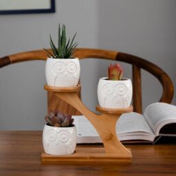 simpa 3PC White Owls Ceramic Plant Pots on Perch Stand - thumbnail 3