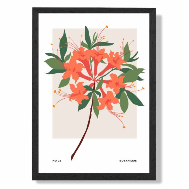 ARTZE Orange Firecracker Plant Flower Market Simplicity Framed Print SIZE: A2 with Black Frame - Size: A4 - image 1