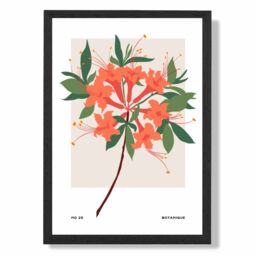 ARTZE Orange Firecracker Plant Flower Market Simplicity Framed Print SIZE: A2 with Black Frame - Size: A4 - thumbnail 1