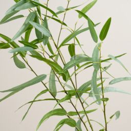 Scottish Everlastings Ltd 115cm Real Touch Oversized Eucalyptus Branch in Green - thumbnail 2