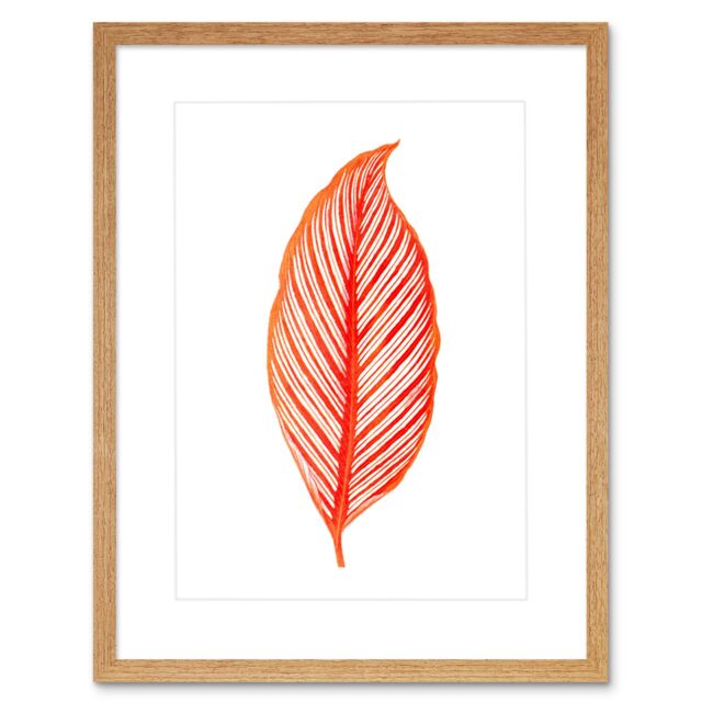 "Artery8 Wall Art Print Botanics Red Orange Stripes Art Black Framed 9x7 inch in Beige - Size: W7"" x H9""" - image 1