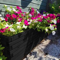 Access Garden Products Pine raised trough planter (L) 120cm × (H) 40cm × (D) 40cm in Black - thumbnail 6