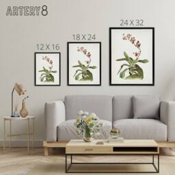 "Artery8 F Sander Marriotts Phalaenopsis Orchid Flowers Framed Canvas Art Print - Size: W12"" x H16""" - thumbnail 4