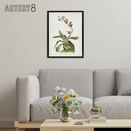 "Artery8 F Sander Marriotts Phalaenopsis Orchid Flowers Framed Canvas Art Print - Size: W12"" x H16""" - thumbnail 3