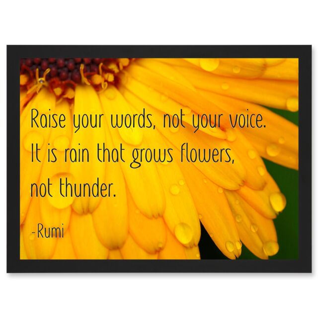 Artery8 Quote Typography Words Raise Your Words Not Voice Thunder Rumi Artwork Framed Wall Art Print A4 in Black - image 1
