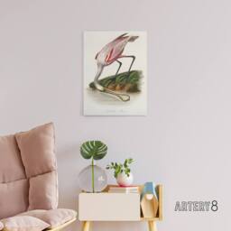 "Artery8 Roseate Spoonbill Couaihac Vintage Canvas Wall Art in White - Size: W18"" x H24""" - thumbnail 3